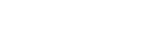 AIG損保