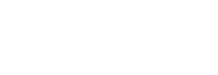 AIG損保